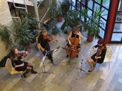 students peform music school of Nova Gorica perform at launch of Slovenian Bilingualism Matters